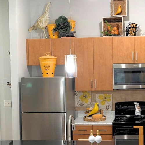 Beautiful kitchens with designer finishes